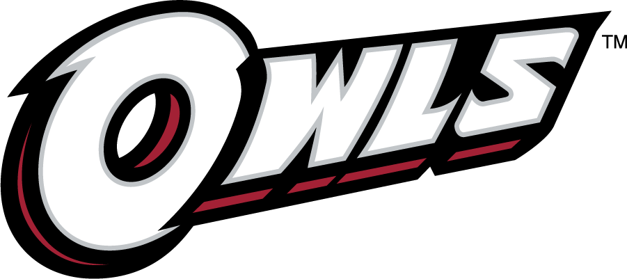 Temple Owls 2014-2020 Wordmark Logo v5 iron on transfers for clothing